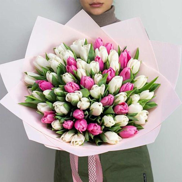 61 бело-розовый тюльпан в Балаково