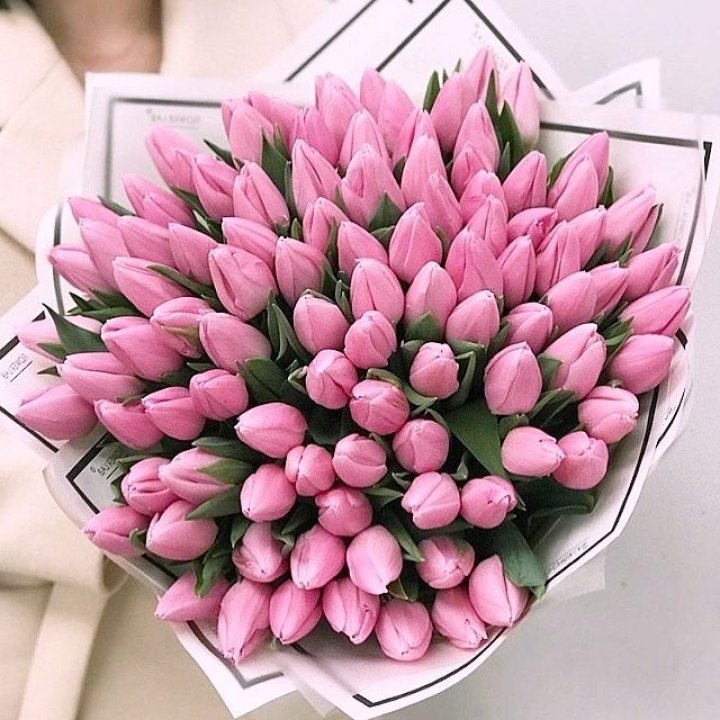 101 розовый тюльпан в белом в Балаково