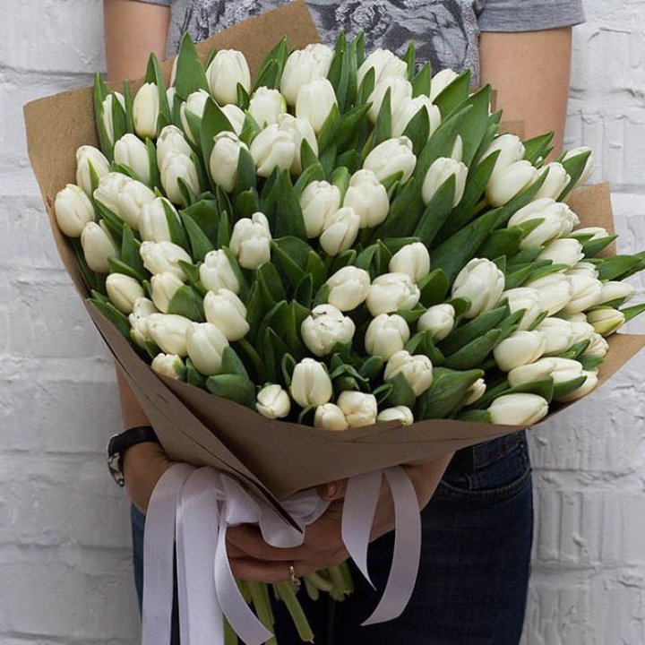 101 тюльпан сноу в Балаково