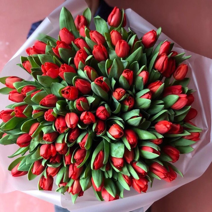 101 красный тюльпан в Балаково